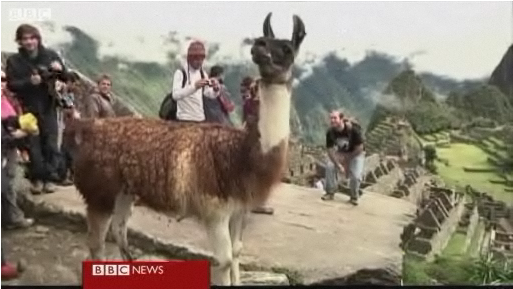 Peru’s Machu Picchu re-opens to tourists