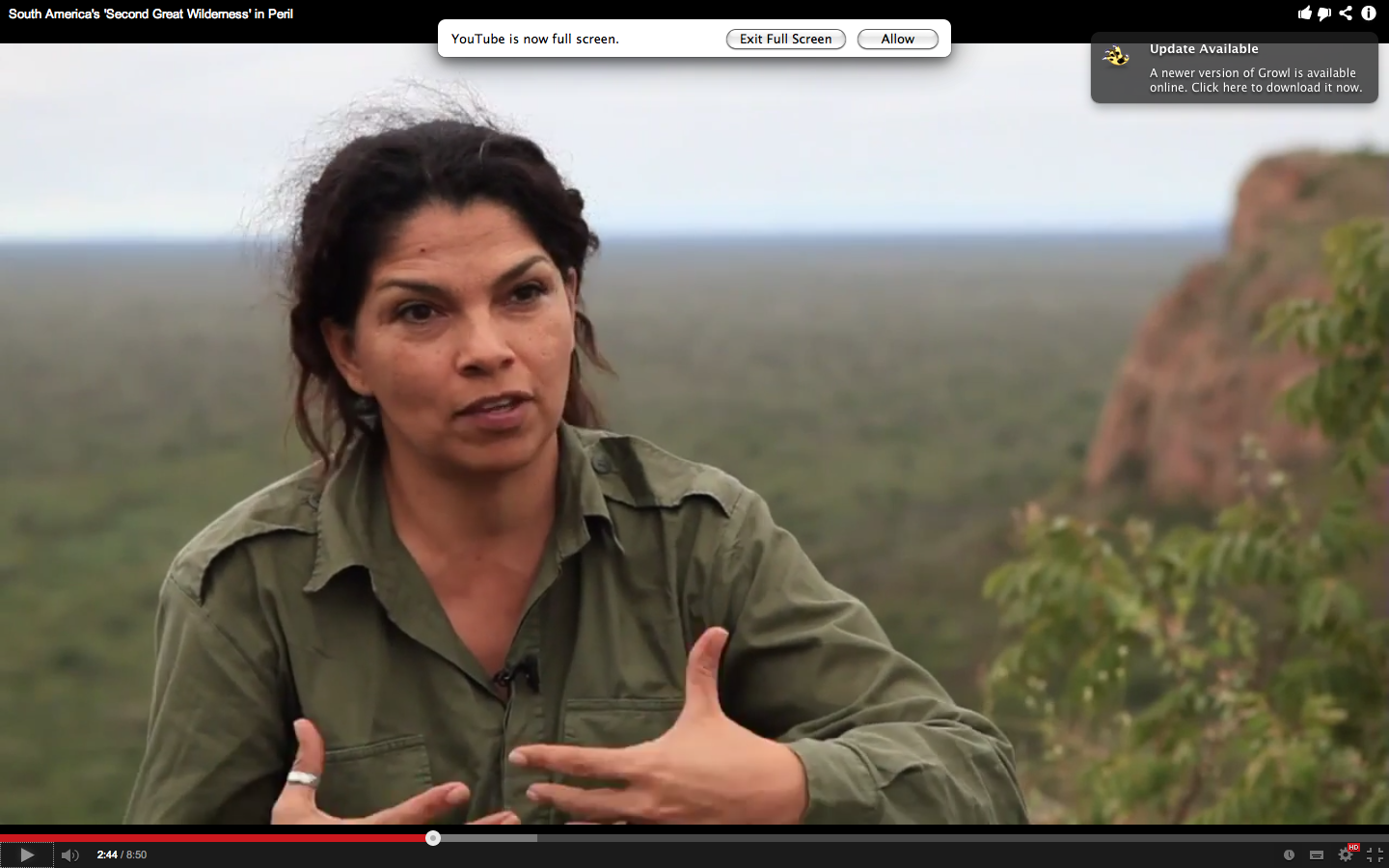 The woman saving South America’s 2nd wilderness